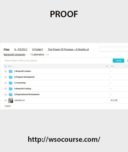 the-power-of-purpose-6-months-of-nonprofit-university