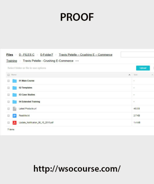 travis-petelle-crushing-e-commerce-training