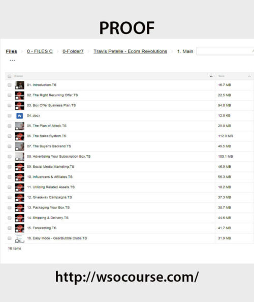 travis-petelle-ecom-revolutions