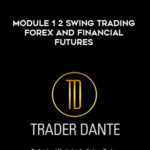 Trader Dante – Module 1 2 Swing Trading Forex and Financial Futures