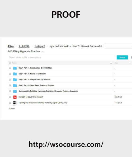 igor-ledochowski-how-to-have-a-successful-fulfilling-hypnosis-practice