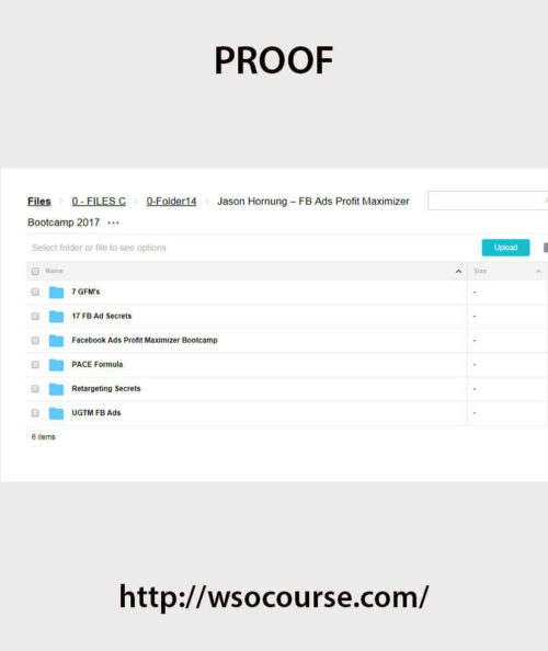 jason-hornung-fb-ads-profit-maximizer-bootcamp-2017