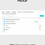 kat-loterzo-multiple-6-figures-with-low-end-info-products-and-memberships
