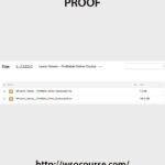 lewis-howes-profitable-online-course