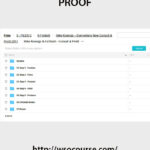 mike-koenigs-everywhere-now-consult-profit-2017