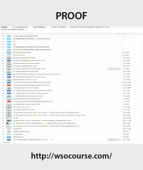 amy-collins-library-profit-system-real-fast-library-marketing