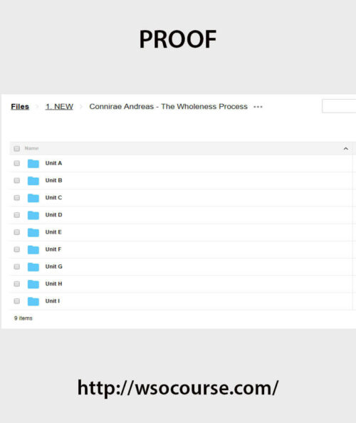 connirae-andreas-the-wholeness-process