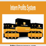 intern-profits-system