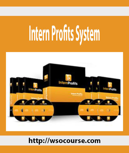 intern-profits-system
