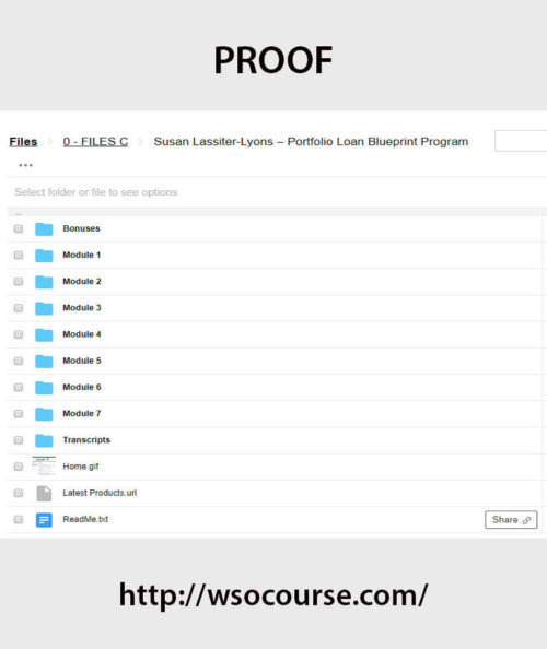susan-lassiter-lyons-portfolio-loan-blueprint-program