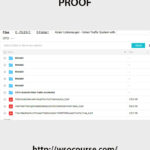 adam-linkenauger-video-traffic-system-with-oto
