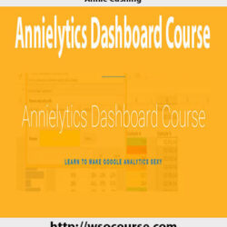 annie-cushing-annielytics-dashboard-course