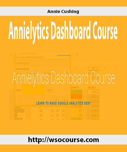 annie-cushing-annielytics-dashboard-course