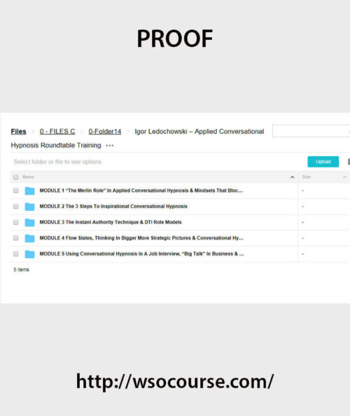 igor-ledochowski-applied-conversational-hypnosis-roundtable-training-1