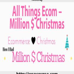 neeraj-all-things-ecom-million-christmas-1