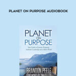 Brandon-Peele-Planet-on-Purpose-Audiobook.jpg