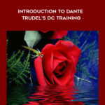 Jason-Wojo-and-Franco-Dattdo-Introduction-to-Dante-Trudels-DC-Training.jpg
