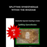 John-Overdurf-Splitting-Synesthesias-within-the-Rhizome.jpg