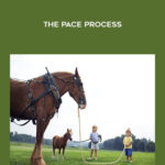 Rudy-Hunter-The-PACE-Process-2.jpg