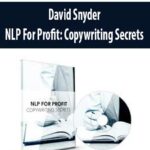 David Snyder – NLP For Profit