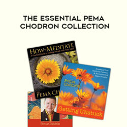 Pema Chödrön – THE ESSENTIAL PEMA CHODRON COLLECTION