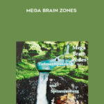 Michael Hutchinson – Mega Brain Zones