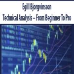 Egill Bjorgvinsson – Technical Analysis – From Beginner To Pro
