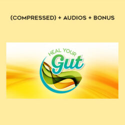 Heal Your Gut Summit 2016 (compressed) + audios + bonus