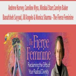 Andrew Harvey, Caroline Myss, Mirabai Starr,Carolyn Baker, Banafsheh Sayyad, Jill Angelo & Monica Sharma - The Fierce Feminine