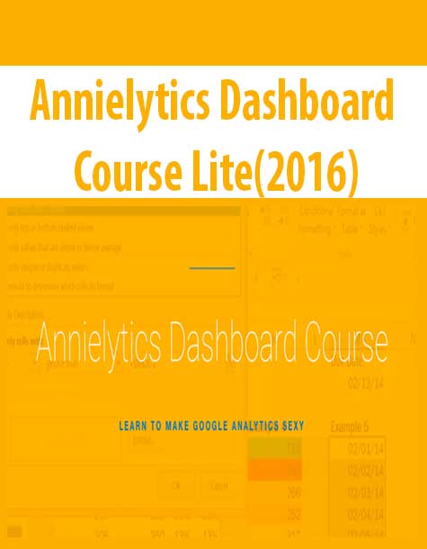Annielytics Dashboard Course Lite(2016)
