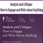 Analysis and Critique