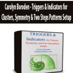 Carolyn Boroden - Triggers & Indicators for Clusters, Symmetry & Two Steps Patterns Setup