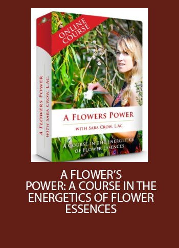 Sara Crow - A Flowers Power - A Course In The Energetics Of Flower Essences