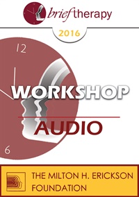 BT16 Workshop 41 - Informational Trance Induction in Couple Therapy