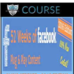 alicia-streger-2016-edition-52-weeks-of-facebook-content