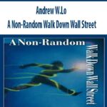 Andrew-W.Lo-A-Non-Random-Walk-Down-Wall-Street