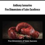 Anthony Iannarino – Five Dimensions of Sales Excellence