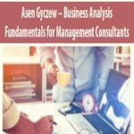 Asen-Gyczew-Business-Analysis-Fundamentals-for-Management-Consultants