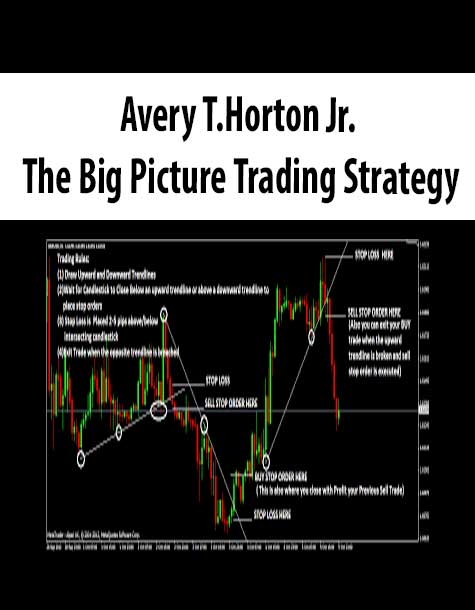 Avery T.Horton Jr. – The Big Picture Trading Strategy