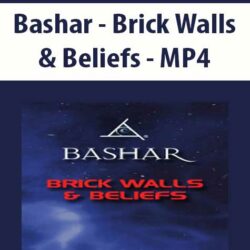 Bashar - Brick Walls & Beliefs - MP4