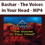 Bashar – The Voices in Your Head – MP4