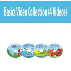 Basics Video Collection (4 Videos)