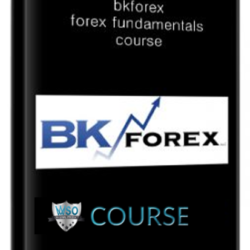 bkforex-forex-fundamentals-course