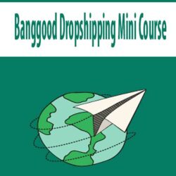 BANGGOOD DROPSHIPPING MINI COURSE