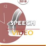 BT18 Speech 07 – Neurological Levels of Change in Brief Therapy – Robert Dilts