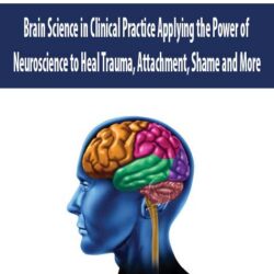Brain Science in Clinical Practice Applying the Power of Neuroscience to Heal Trauma, Attachment, Shame and More