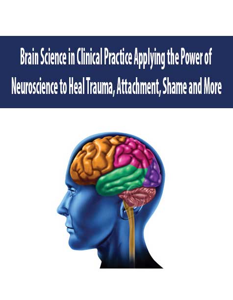 Brain Science in Clinical Practice Applying the Power of Neuroscience to Heal Trauma, Attachment, Shame and More