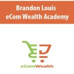 brandon-louis-ecom-wealth-academy.jpg