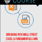 breaking-into-wall-street-excel-fundamentals-and-advanced-modeling-premium