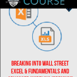 breaking-into-wall-street-excel-fundamentals-and-advanced-modeling-premium